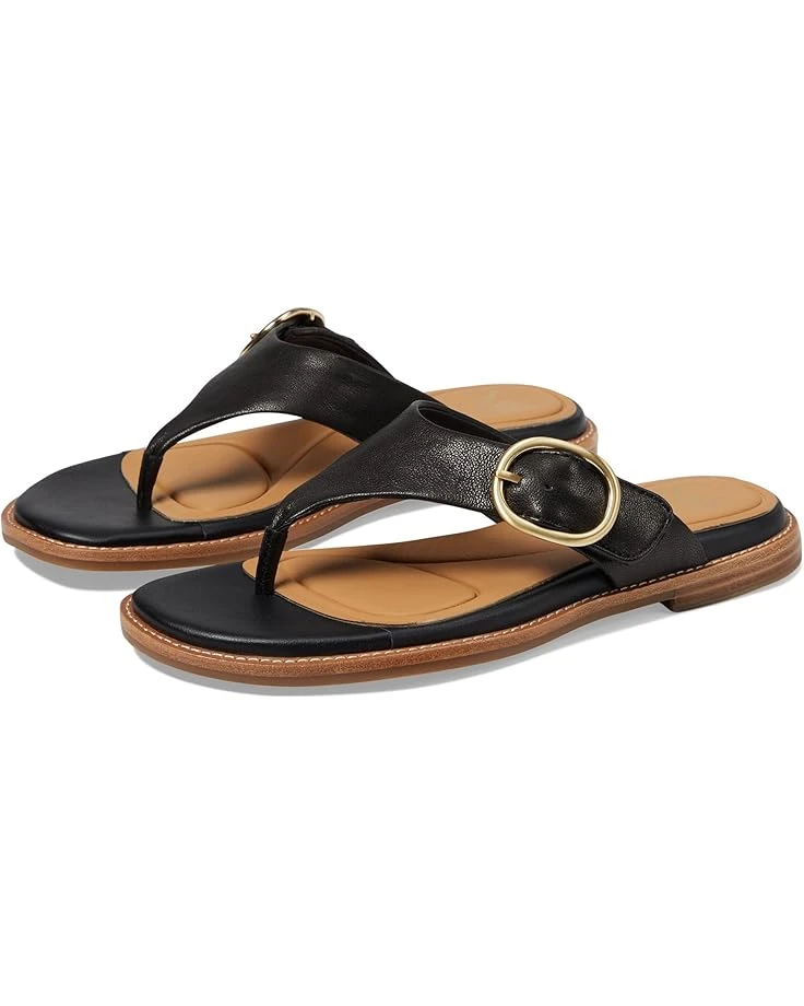 Sofft Nancia | Sandals 3 Sofft Nancia | Sandals