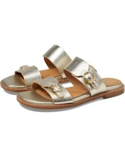Sofft Noella | Sandals -Sofft Shoes Store 71Jy1 oP3jL. AC SR736920