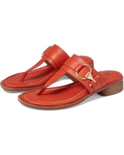 Sofft Fernanda | Sandals -Sofft Shoes Store 71WOyngW1zL. AC SR736920